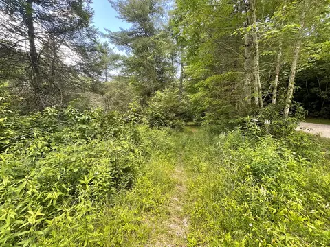 tbd Brahman Ln, Cullowhee, NC 28723 photo 6