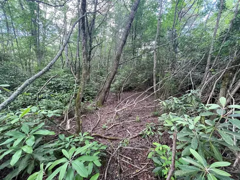 tbd Yellow Mountain Rd, Cullowhee, NC 28723 photo 3
