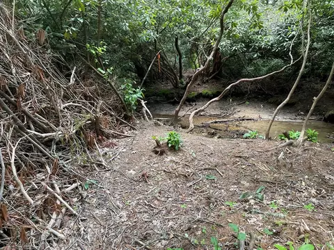 tbd Yellow Mountain Rd, Cullowhee, NC 28723