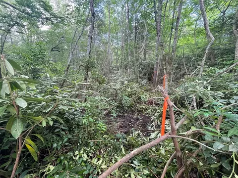 tbd Yellow Mountain Rd, Cullowhee, NC 28723 photo 2