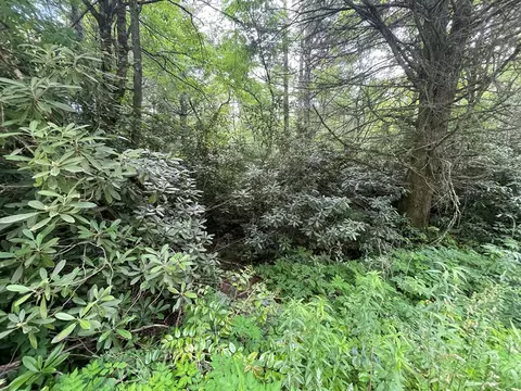 tbd Yellow Mountain Rd, Cullowhee, NC 28723 photo 6