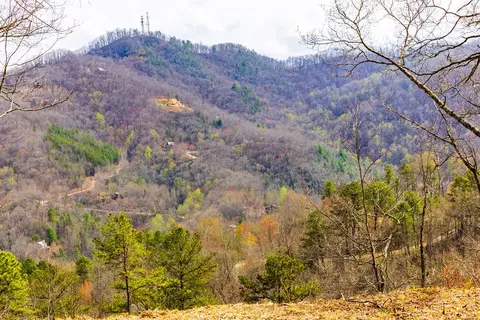 lot1 Butternut Rdg, Bryson City, NC 28713