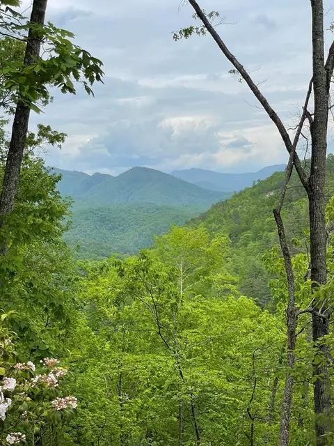 lot4 Butternut Rdg, Bryson City, NC 28713