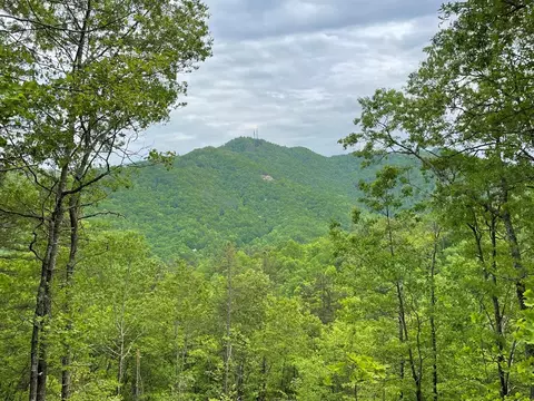 lot9 Butternut Rdg, Bryson City, NC 28713
