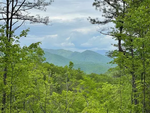 lot5 Butternut Rdg, Bryson City, NC 28713
