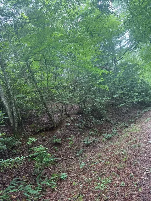0 Willow Pond Rd, Franklin, NC 28734