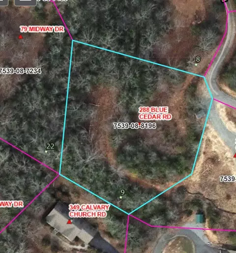 Other - 288 Blue Cedar Rd, Sylva, NC 28779 photo 7 of 7