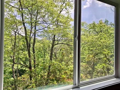 Other - 288 Blue Cedar Rd, Sylva, NC 28779 photo 3 of 7