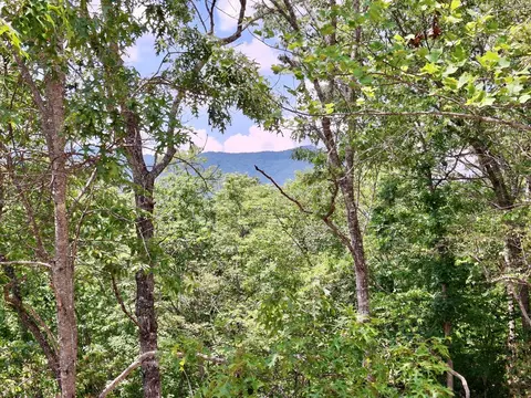Other - 288 Blue Cedar Rd, Sylva, NC 28779 photo 5 of 7