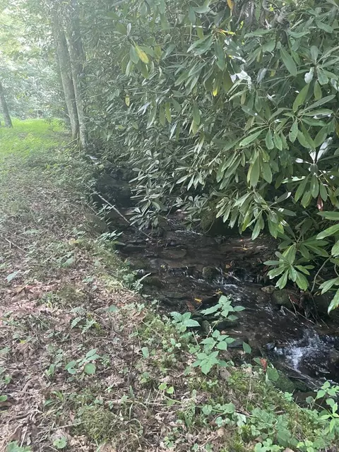 lot17 18 Long Creek Ln, Bryson City, NC 28713