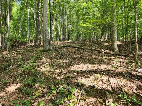 00 Allison Watts Rd, Franklin, NC 28734