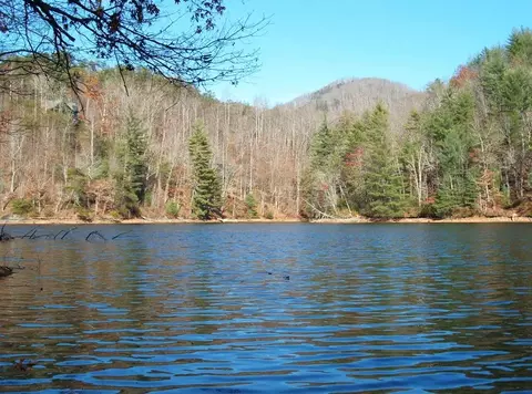 24 A Canada Road281, Tuckasegee, NC 28383