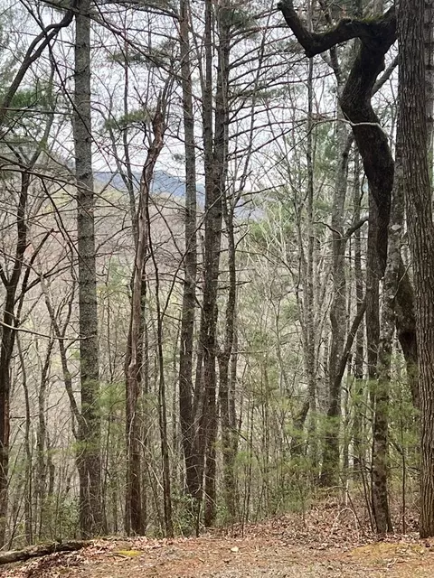 14 Eagles View, Highlands, NC 28741 photo 7