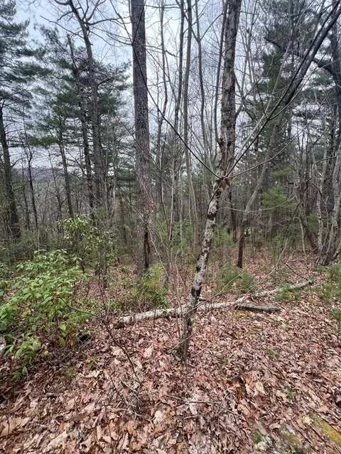 14 Eagles View, Highlands, NC 28741 photo 4