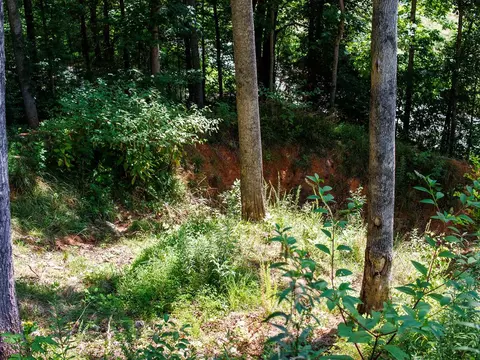 lot9 Kimberly Ln, Franklin, NC 28734