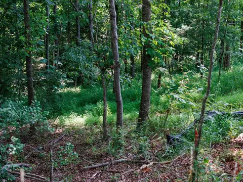 lot10 Kimberly Ln, Franklin, NC 28734