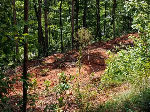 lot18 Kimberly Ln, Franklin, NC 28734
