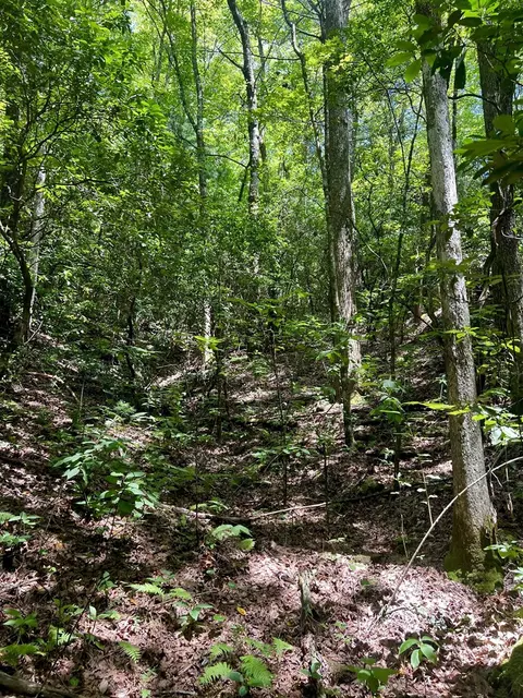 0 Tbd Indian Hills Dr, Murphy, NC 28906 photo 7