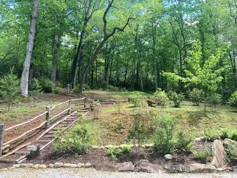 9 Bear Pen Cv, Franklin, NC 28734 photo 20