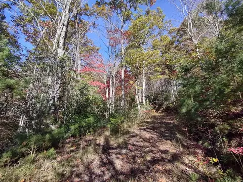 151 Red Leafe Trl, Sylva, NC 28779 photo 14