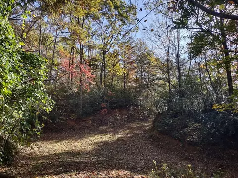 151 Red Leafe Trl, Sylva, NC 28779 photo 10