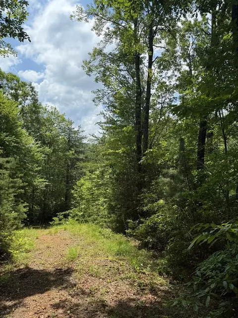151 Red Leafe Trl, Sylva, NC 28779 photo 27