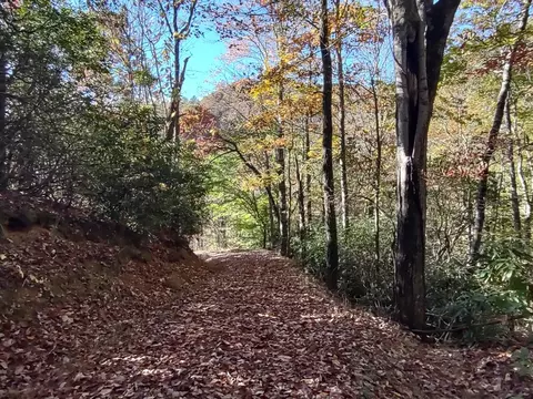 151 Red Leafe Trl, Sylva, NC 28779 photo 9