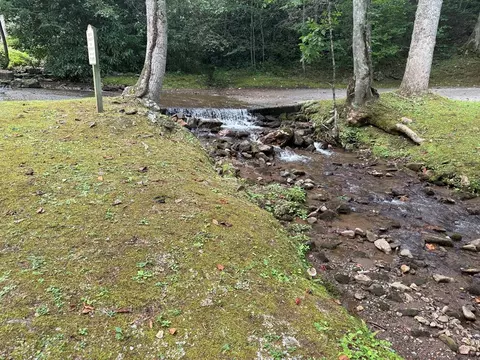 151 Red Leafe Trl, Sylva, NC 28779 photo 24