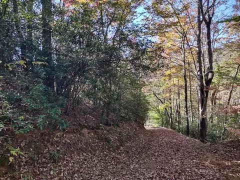 151 Red Leafe Trl, Sylva, NC 28779 photo 16