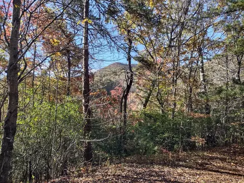 151 Red Leafe Trl, Sylva, NC 28779 photo 12