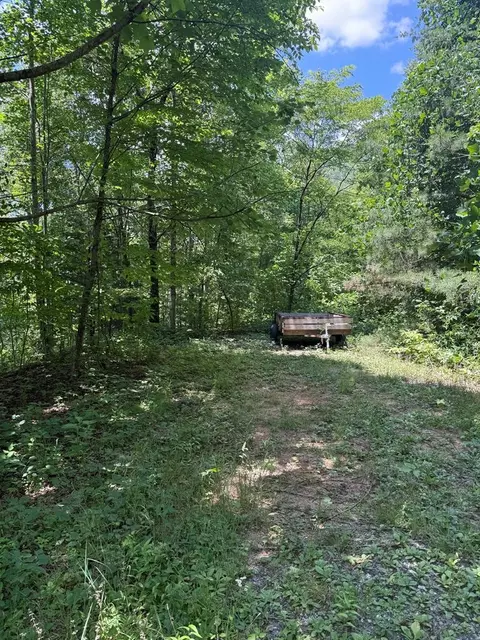 151 Red Leafe Trl, Sylva, NC 28779 photo 26