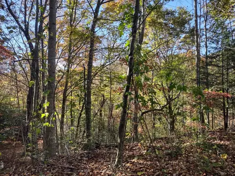 151 Red Leafe Trl, Sylva, NC 28779 photo 11