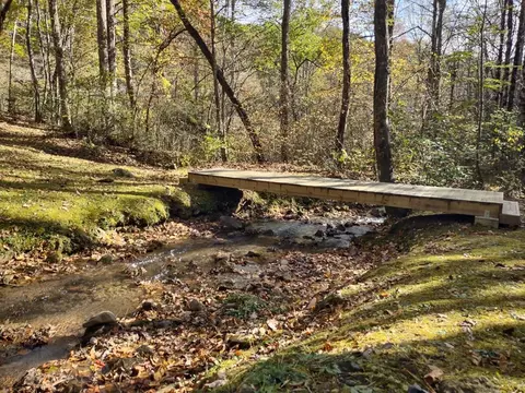 151 Red Leafe Trl, Sylva, NC 28779 photo 8