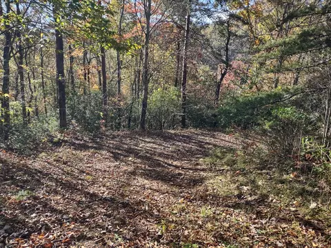 151 Red Leafe Trl, Sylva, NC 28779 photo 15