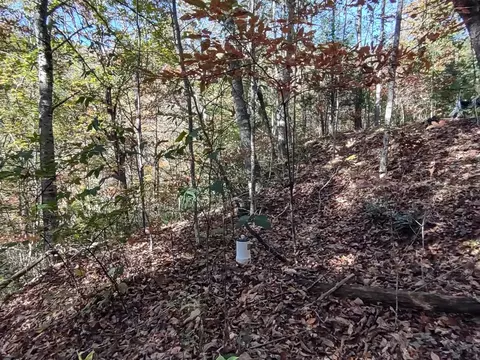 151 Red Leafe Trl, Sylva, NC 28779 photo 18
