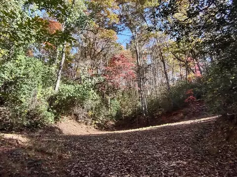 151 Red Leafe Trl, Sylva, NC 28779 photo 19