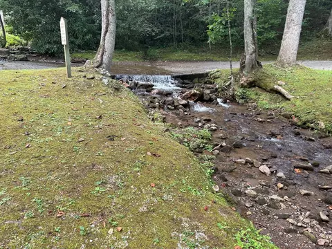 151 Red Leafe Trl, Sylva, NC 28779 photo 3