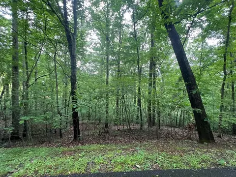 0 Ash Branch Cir, Hayesville, NC 28904