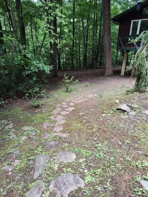 375 Rabbit Track Trl, Franklin, NC 28734 photo 24