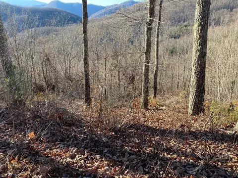 lot61 Hickory Nut Trl, Sylva, NC 28779