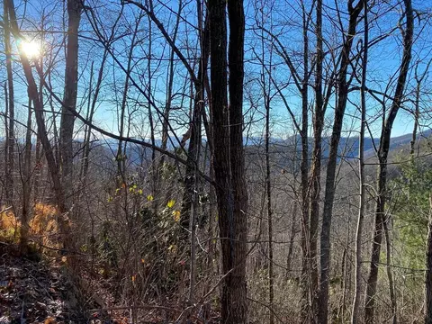 lot63 Hickory Nut Trl, Sylva, NC 28779