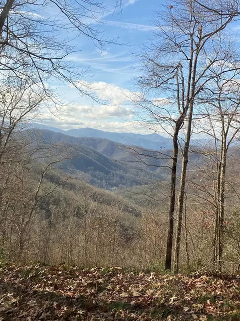 61 62 63 Hickory Nut Trl, Sylva, NC 28779