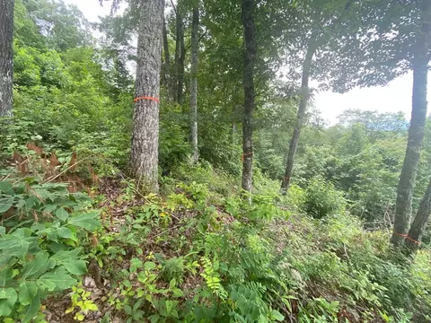 61 62 63 Hickory Nut Trl, Sylva, NC 28779 photo 6
