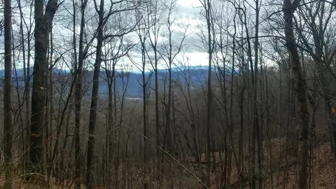 2100 Chambers Mountain Rd, Clyde, NC 28721 photo 8