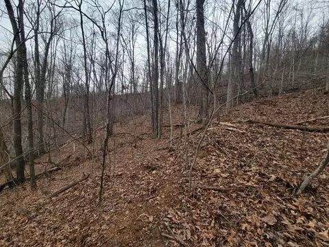 2100 Chambers Mountain Rd, Clyde, NC 28721 photo 5