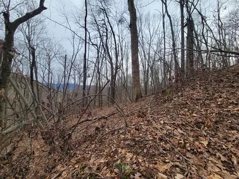 2100 Chambers Mountain Rd, Clyde, NC 28721 photo 3