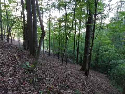 2100 Chambers Mountain Rd, Clyde, NC 28721 photo 24