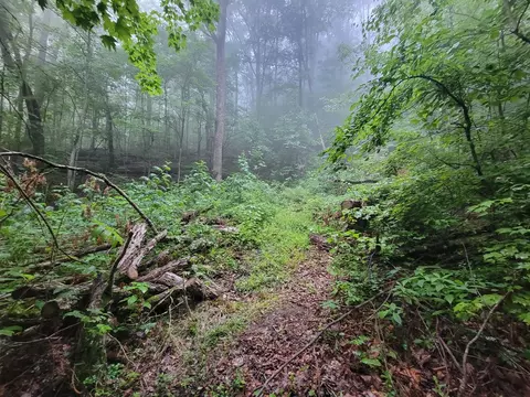 2100 Chambers Mountain Rd, Clyde, NC 28721 photo 15