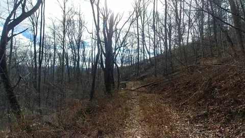 2100 Chambers Mountain Rd, Clyde, NC 28721 photo 14
