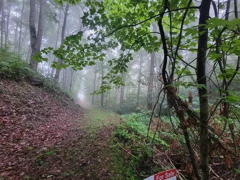 2100 Chambers Mountain Rd, Clyde, NC 28721 photo 7